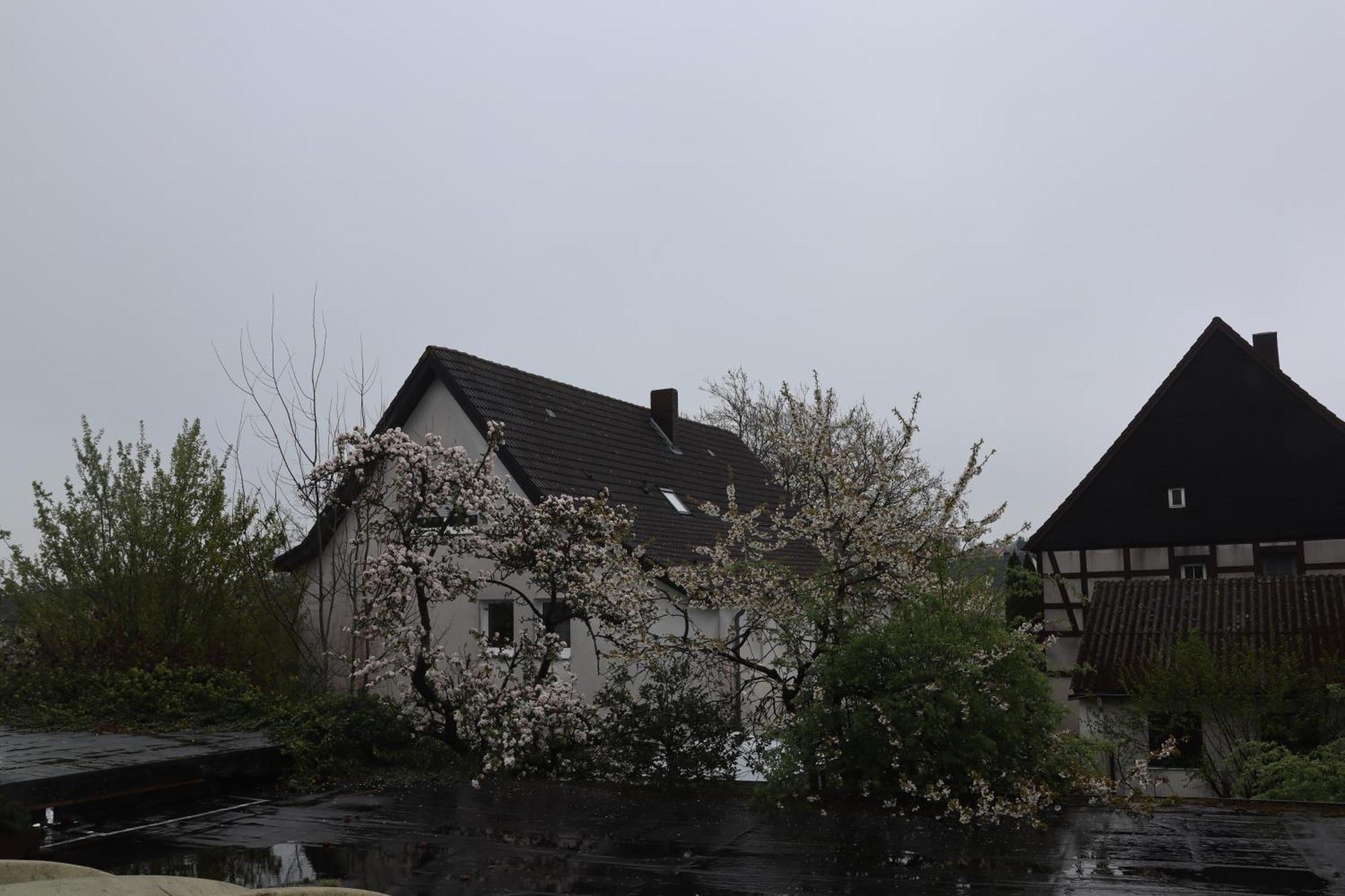Hotel Haarener Hof Bad Wünnenberg Dış mekan fotoğraf